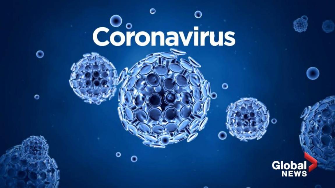 Coronavirüs Bilgeledirme Broşürleri